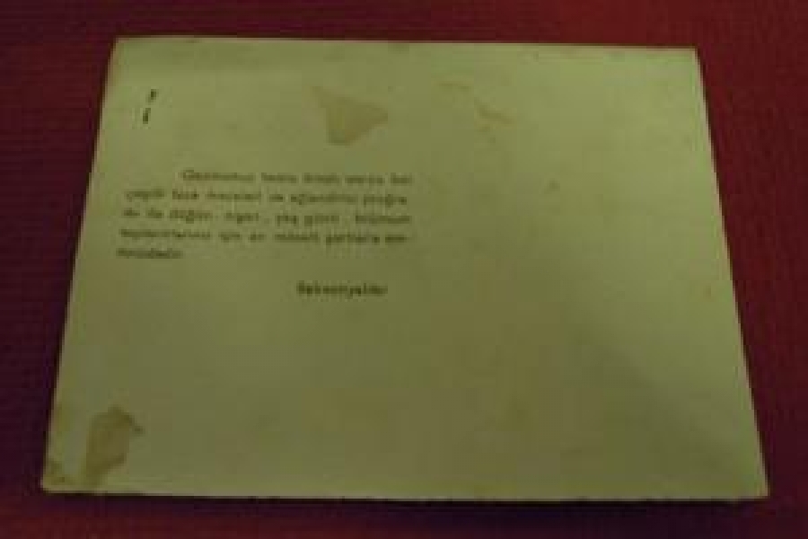 BOSTANCI GAZİNOMUZ  EMRİNİZDEDİR. SAKSONYALILAR 