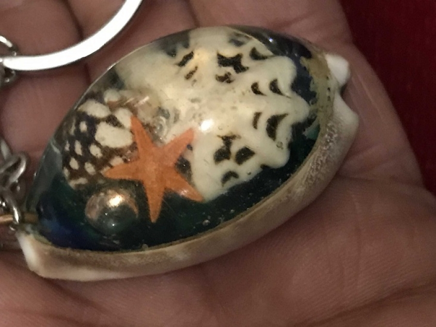 DENİZ CANLILARINDAN YAPILMIŞ ANAHTARLIK