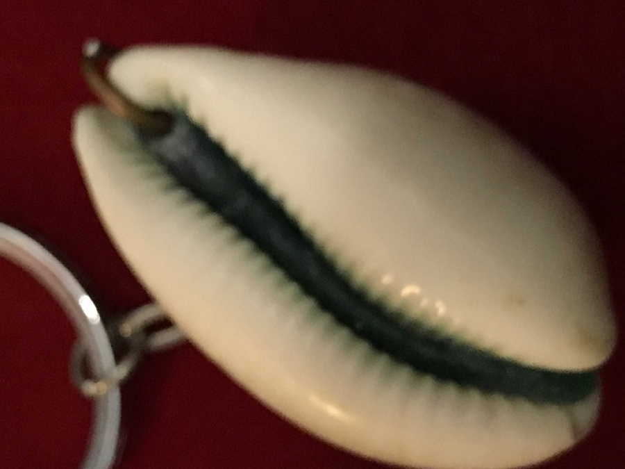 DENİZ CANLILARINDAN YAPILMIŞ ANAHTARLIK