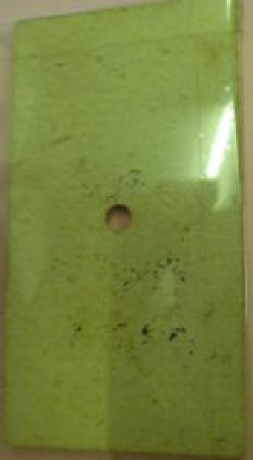 OSMANLI BANLİYO KARTON TREN BİLETİ