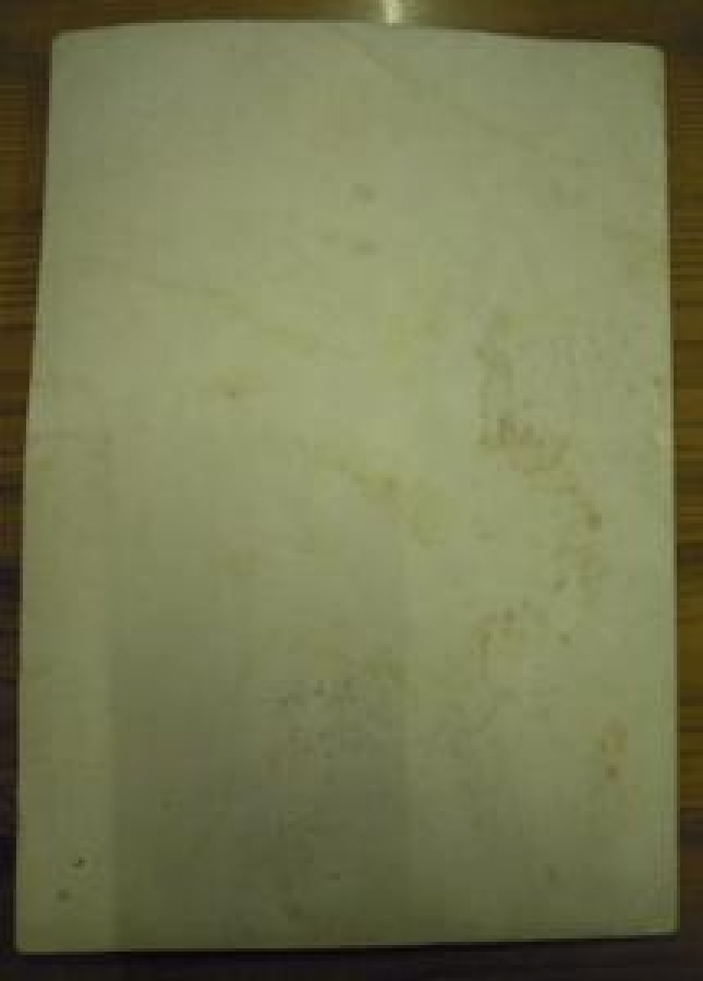 KULELİ ASKERİ LİSESİ DİPLOMA TÖRENİ TÜZÜĞÜ KURALLARI