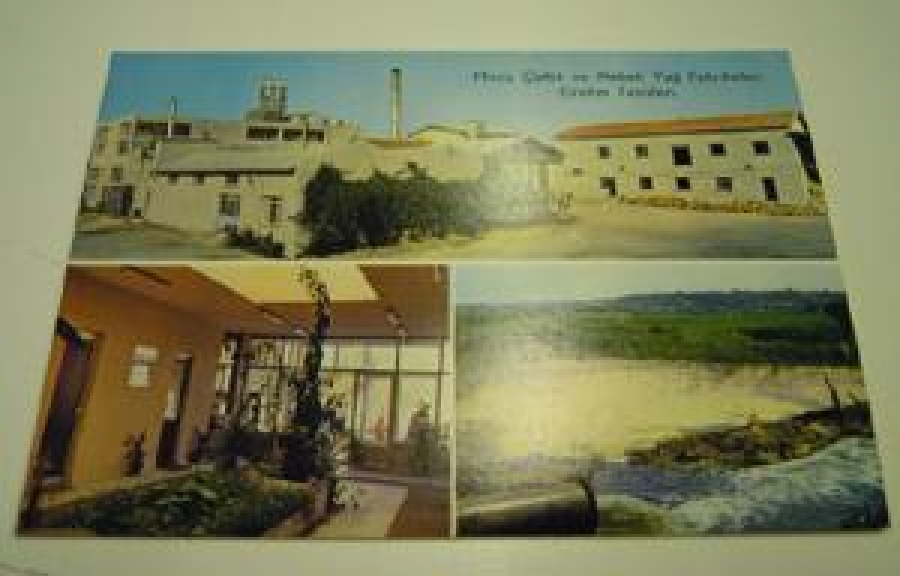 MERİÇ ÇELTİK VE NEBATİ YAĞ FABRİKALARI ÜRETİM TESİSLERİ. 