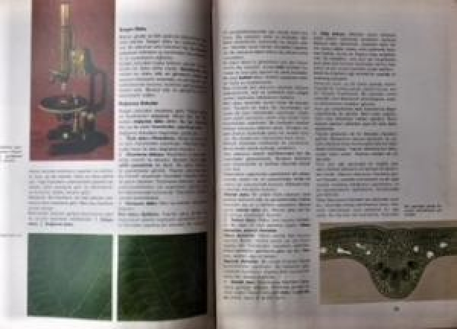 GÖKKUŞAĞI HAFTALIK MODERN ANSİKLOPODİK DERGİ 250 KURUŞ 1965 SAYI 6 