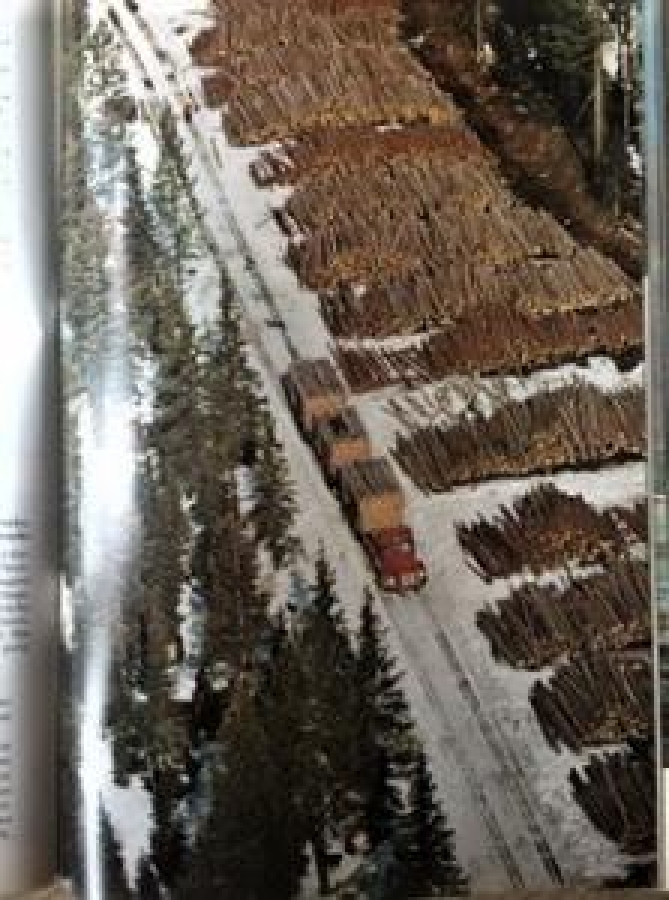 THE NATIONAL GEOGRAPHIC MAGAZINE APREL 1963 YILI AMERİKAN BASKI DERGİ 