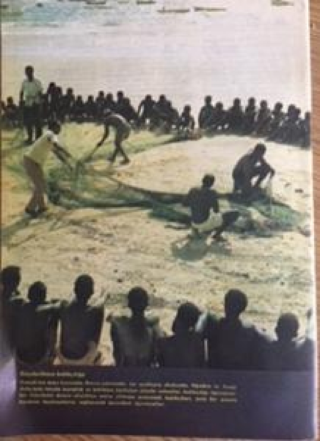 UNESCODAN GÖRÜŞ DÜNYAYA AÇILAN PENCERE DERGİSİ ARALIK 1983 SAYI 12 