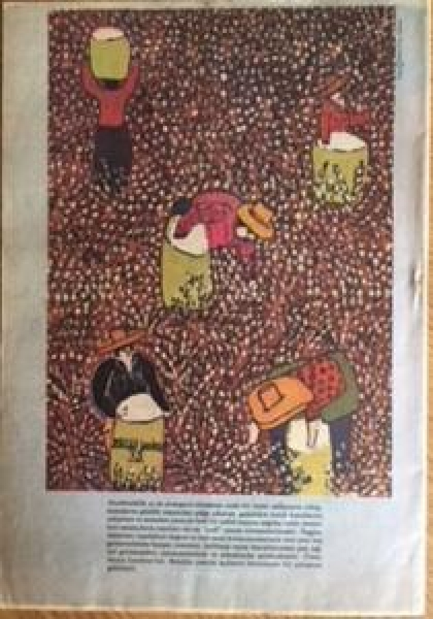 UNESCODAN GÖRÜŞ DÜNYAYA AÇILAN PENCERE DERGİSİ TEMMUZ 1984 SAYI 7 