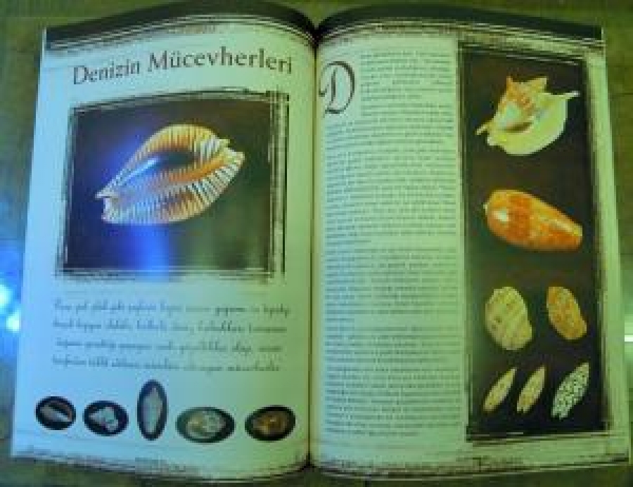 COLLECTION GEÇMİŞİN DEĞERLERİNİ GELECEĞE TAŞIYANLARIN DERGİSİ SAYI 8 TEMMUZ - AĞUSTOS - EYLÜL 2002 