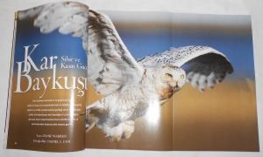 NATIONAL GEOGRAPHIC DERGİ BAYKUŞU ARALIK 2002 