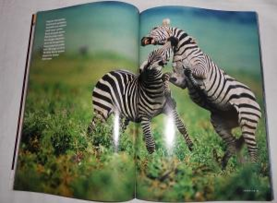 NATIONAL GEOGRAPHIC DERGİ KÖLELER EYLÜL 2003 