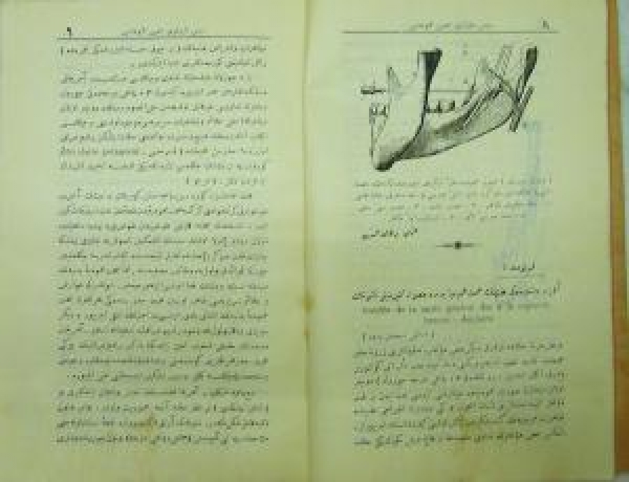 OSMANLI BASKI RESİMLİ DİŞ TABİP KİTABI 2 ANNE, NO: 17 ; AVRİL 1925 