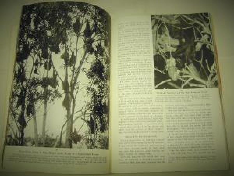 THE NATIONAL GEOGRAPHIC MAGAZINE JANURY  1957 YILI AMERİKAN BASKI DERGİ 