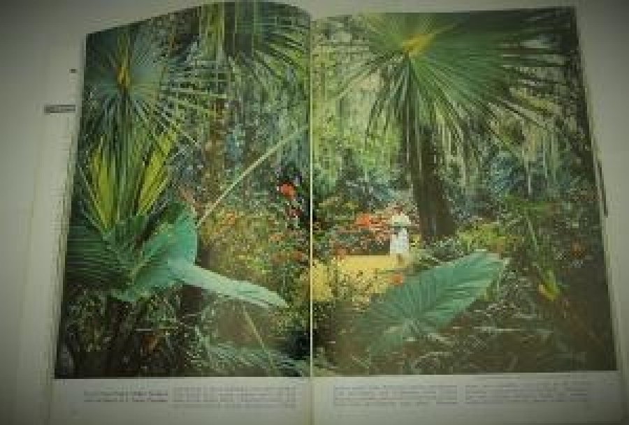 THE NATIONAL GEOGRAPHIC MAGAZINE JANUARY  1958 YILI AMERİKAN BASKI DERGİ 