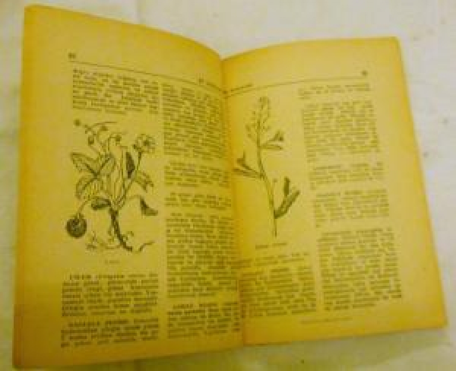 EV İLAÇLARI EVDE HAZIRLANAN TEDAVİLER HÜRRİYET GAZETESİ YAYINLARI 