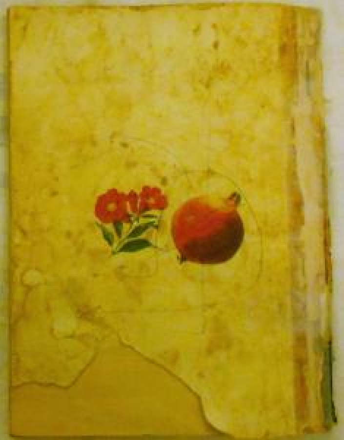 EV İLAÇLARI EVDE HAZIRLANAN TEDAVİLER HÜRRİYET GAZETESİ YAYINLARI 