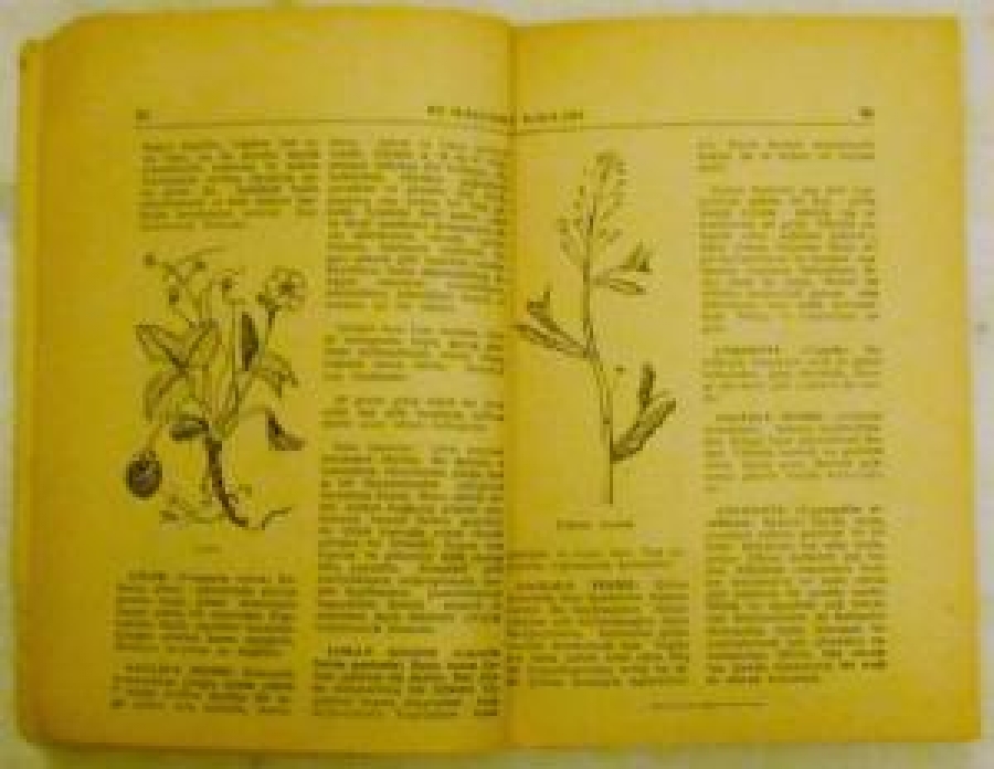 EV İLAÇLARI EVDE HAZIRLANAN TEDAVİLER HÜRRİYET GAZETESİ YAYINLARI 