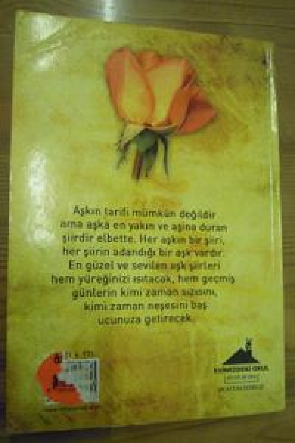 EN GÜZEL AŞK ŞÜRLERİ 