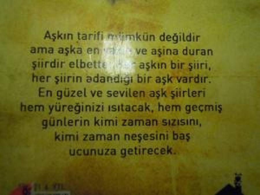 EN GÜZEL AŞK ŞÜRLERİ 