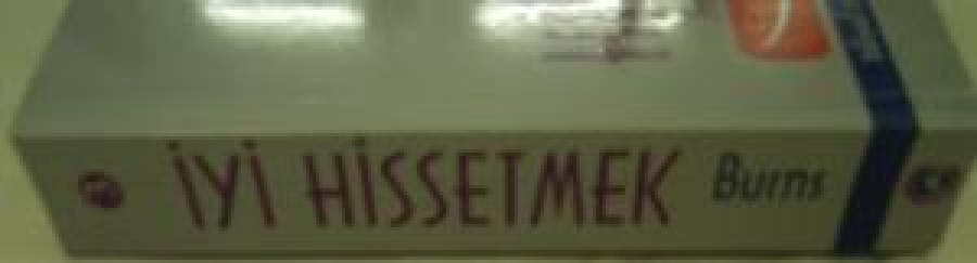 İYİ HİSSETMEK YENİ DUYGU DURUM TEDAVİSİ DAVID BURNS 