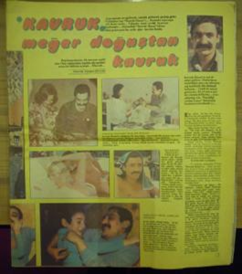 KAVRUK MEĞER DOĞUŞTAN KAVRUK