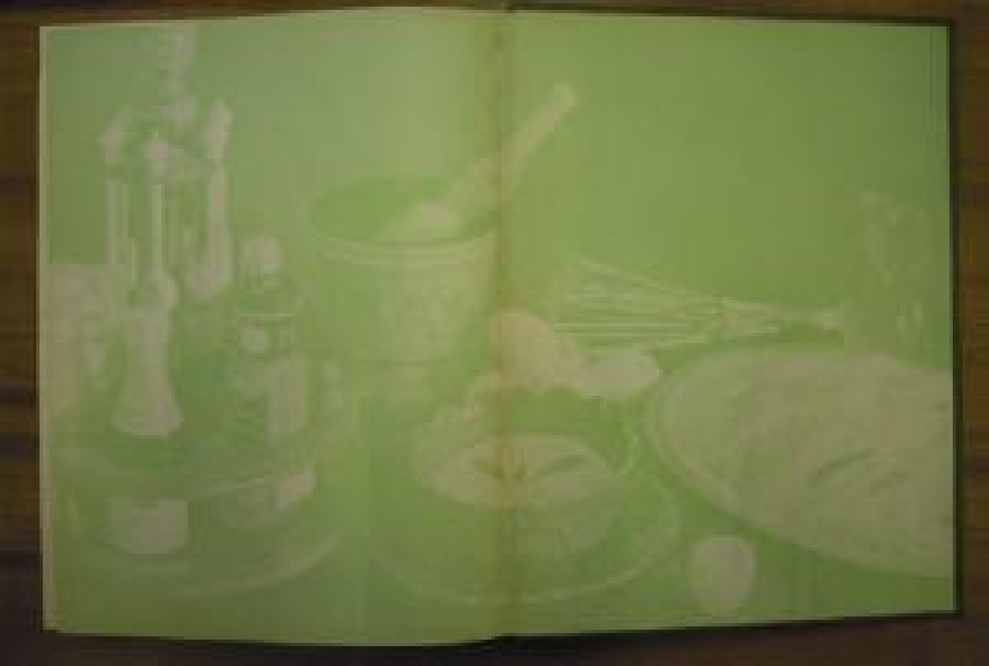 YEMEK KİTABI ALTIN TABAK ÖĞRETİCİ METODLARLA HAZIRLANMIŞ ANSİKLOPEDİ CİLT :3