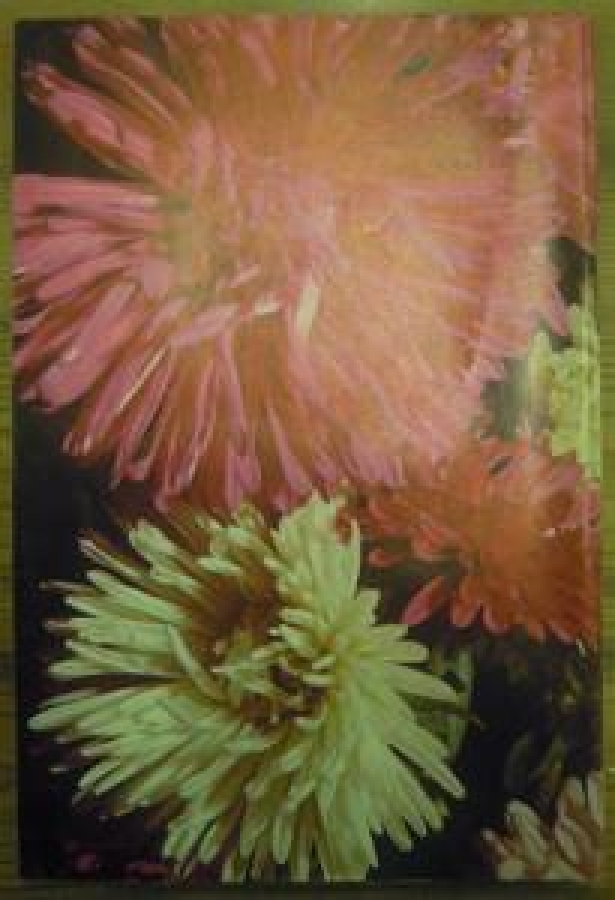 HAYAT AYNA AYLIK DERGİ SAYI : 12 .1. ARALIK 1971 