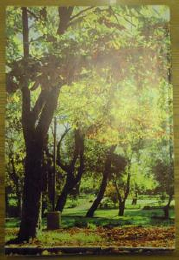 HAYAT AYNA AYLIK DERGİ SAYI :11. 1-EKİM 1971 