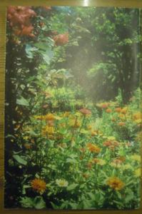 HAYAT AYNA AYLIK DERGİ SAYI :12. KASIM 1972 