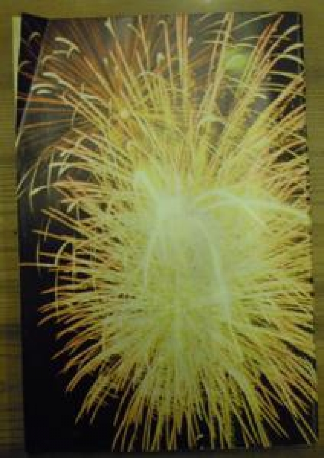 HAYAT AYNA AYLIK DERGİ SAYI :2. OCAK 1972 