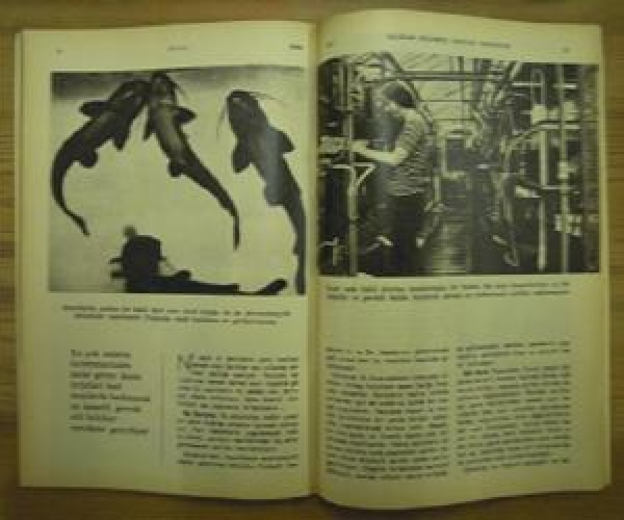 HAYAT AYNA AYLIK DERGİ SAYI :3. ŞUBAT 1973 