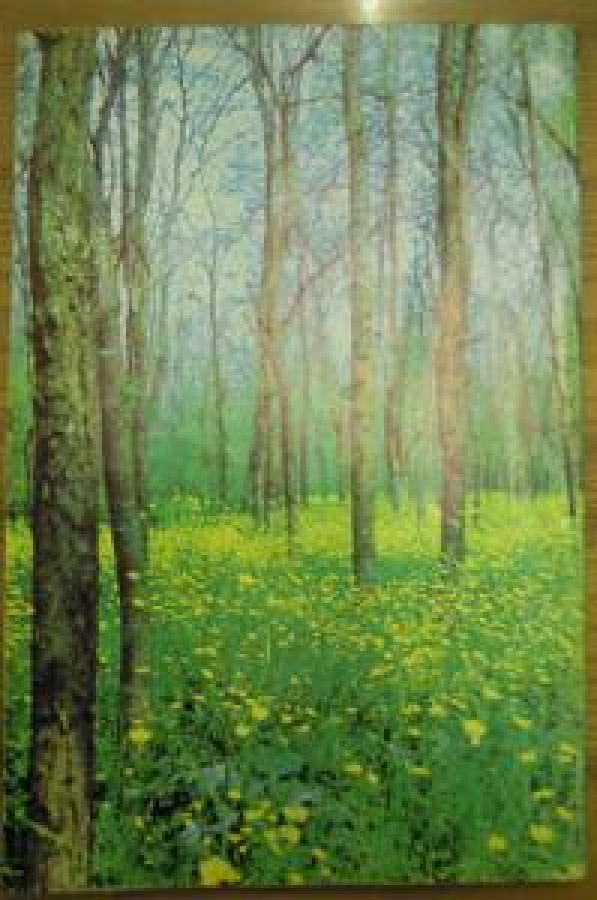 HAYAT AYNA AYLIK DERGİ SAYI : 5. 1-NİSAN 1971 