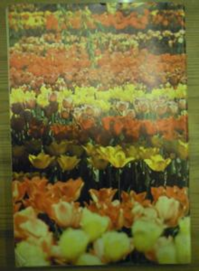 HAYAT AYNA AYLIK DERGİ SAYI :6. MAYIS 1972