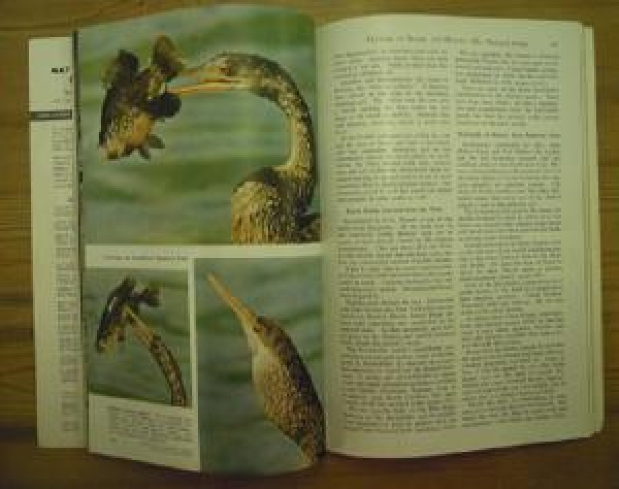 THE NATIONAL GEOGRAPHIC MAGAZINE 1958 MAY YILI AMERİKAN BASKI DERGİ 