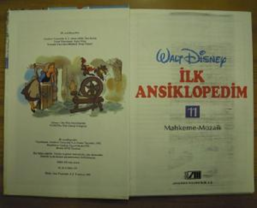 WALT DİSNEY İLK ANSİKLOPEDİM MAHKEME-MOZAİK