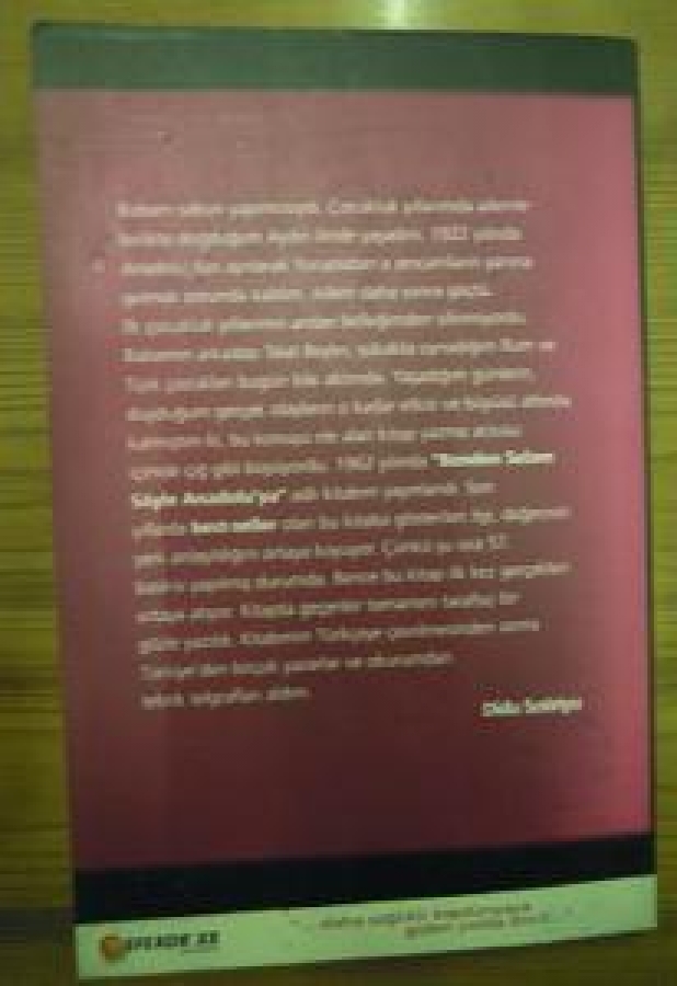 BENDEN SELAM SÖYLE ANADOLU'YA DİDO SATİRİYU ÇEVİREN : ATTİLA TOKATLI 