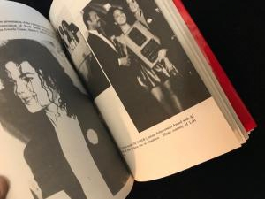 MICHAEL JACKSON THE KİNG OF POP LİSA D. CAMPBELL BRANDEN BOOKS BOSTON 