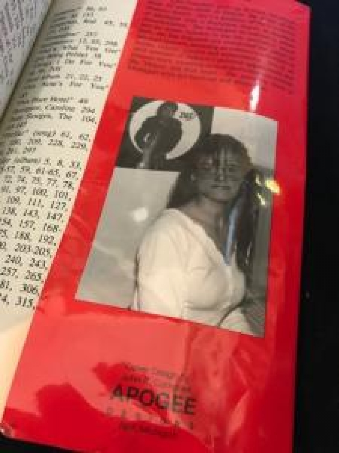 MICHAEL JACKSON THE KİNG OF POP LİSA D. CAMPBELL BRANDEN BOOKS BOSTON 