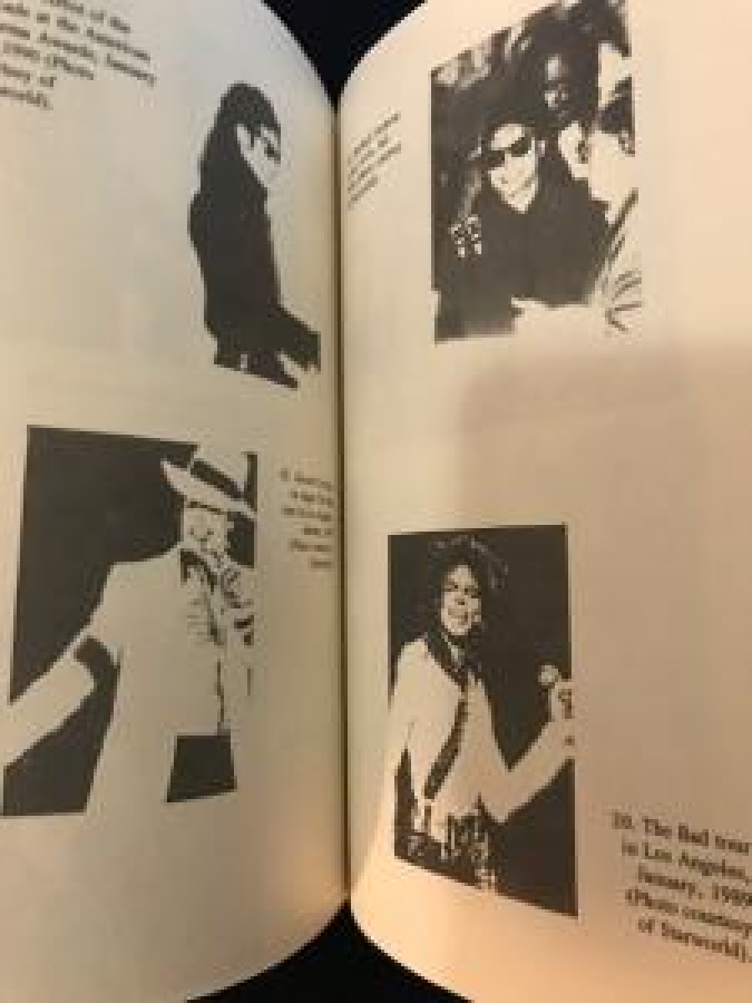 MICHAEL JACKSON THE KİNG OF POP LİSA D. CAMPBELL BRANDEN BOOKS BOSTON 