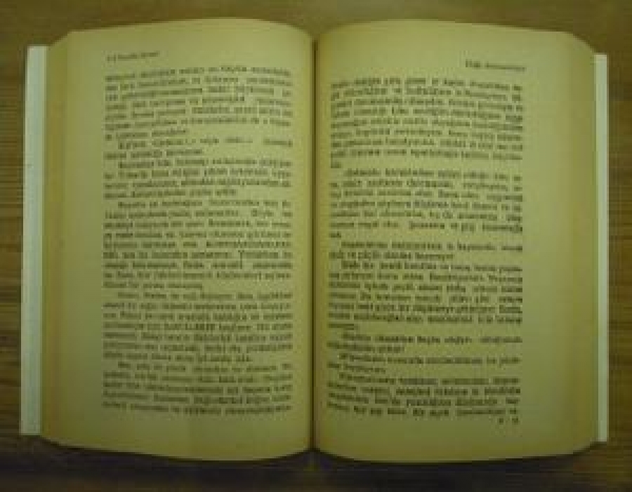 MUALLA SÜMER DOĞA SENFONİSİ