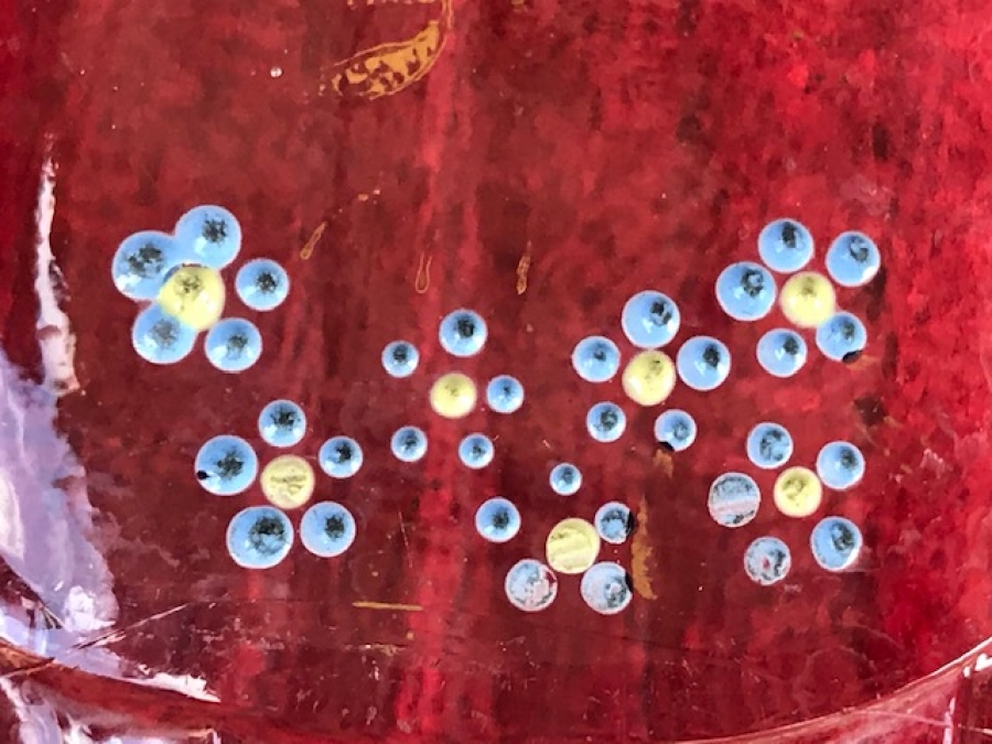 ŞİFA BAŞ UCU EL BOYAMA CAM BARDAK FAYTON VAZOSU