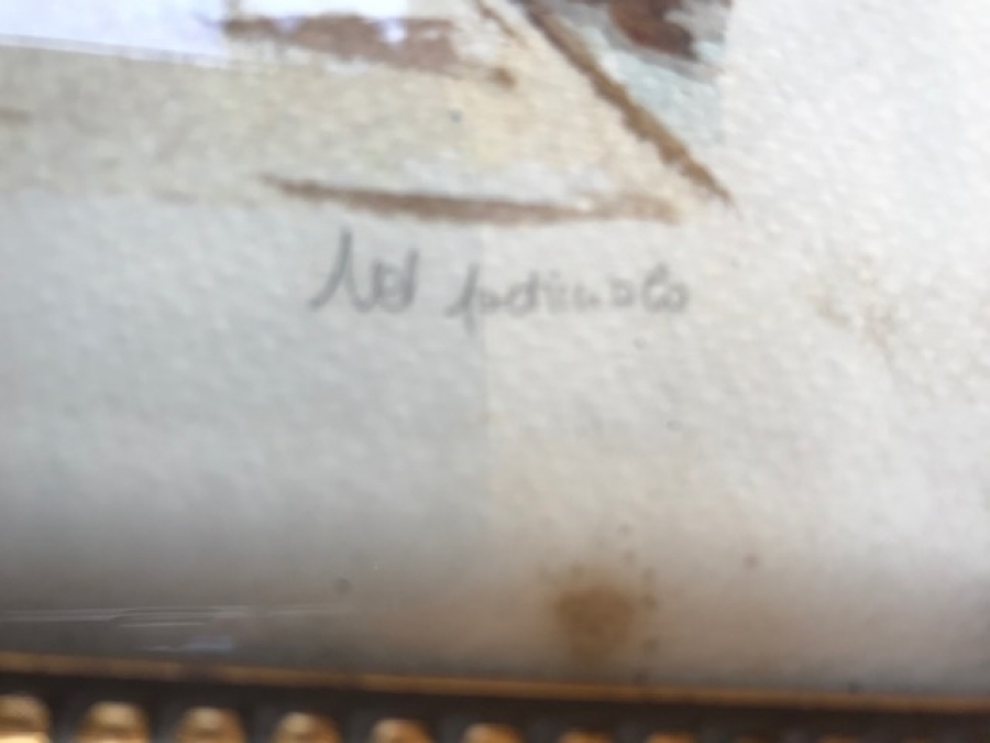 MARA SONGUİNETİ  İMZALI 