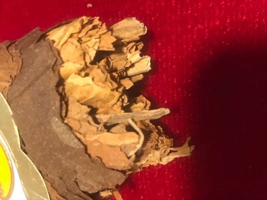 HOLLANDA KRALİCESİNİN ANISINA CIKARILMIŞ PURO