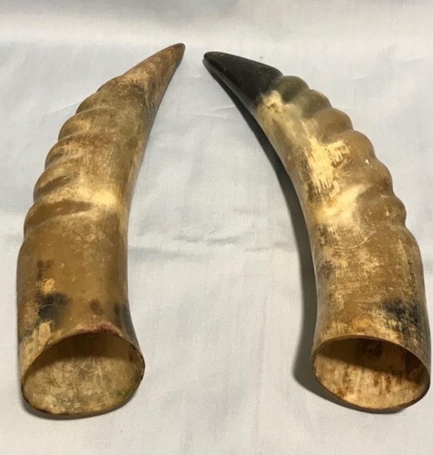 2 ADET SAG SOL BOYNUZ 