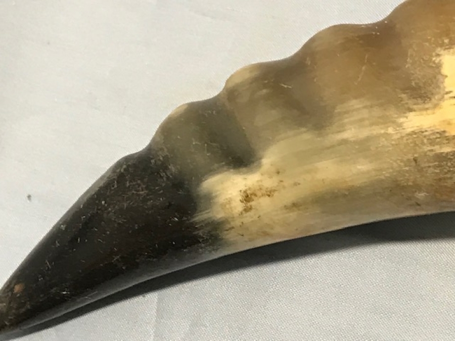 2 ADET SAG SOL BOYNUZ 