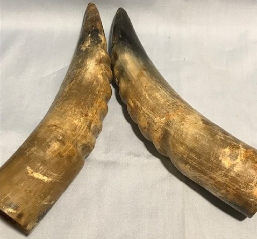 2 ADET SAG SOL BOYNUZ 