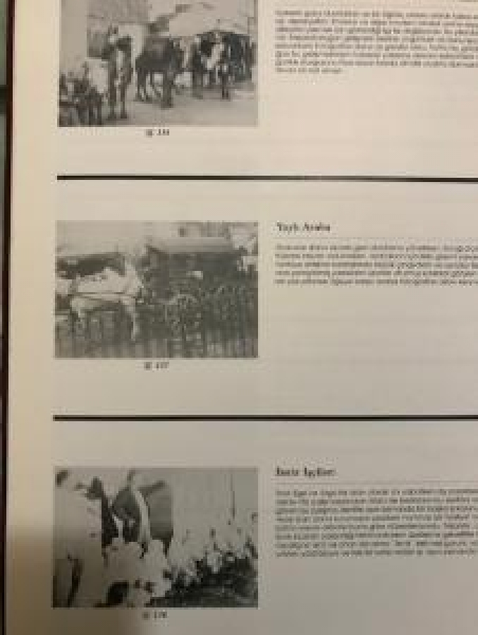 19. YÜZYIL İZMİR FOTOĞRAFLARI SUNA - İNAN KIRAÇ AKDENİZ 