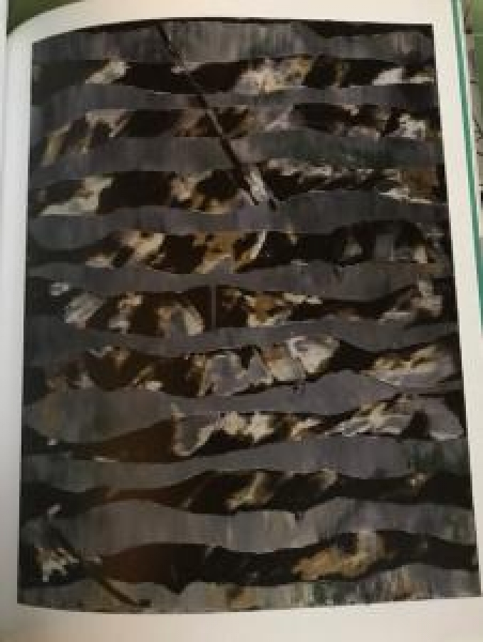 AHMET ORAN KATALOK CİZİMLERİ RESİMLERİ KİTABINDA