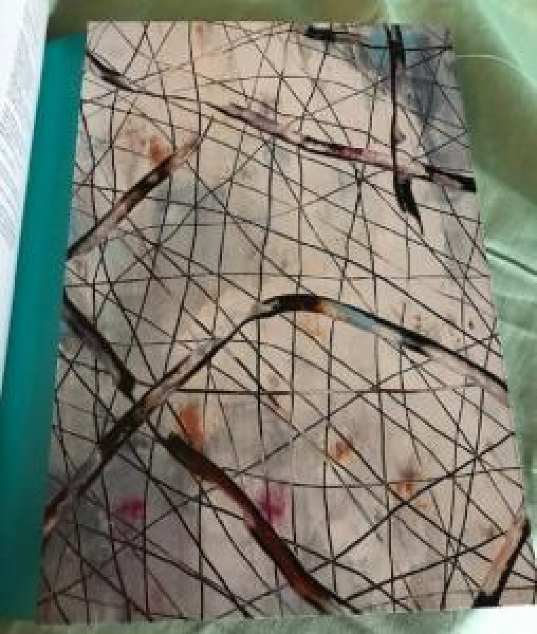 AHMET ORAN KATALOK CİZİMLERİ RESİMLERİ KİTABINDA