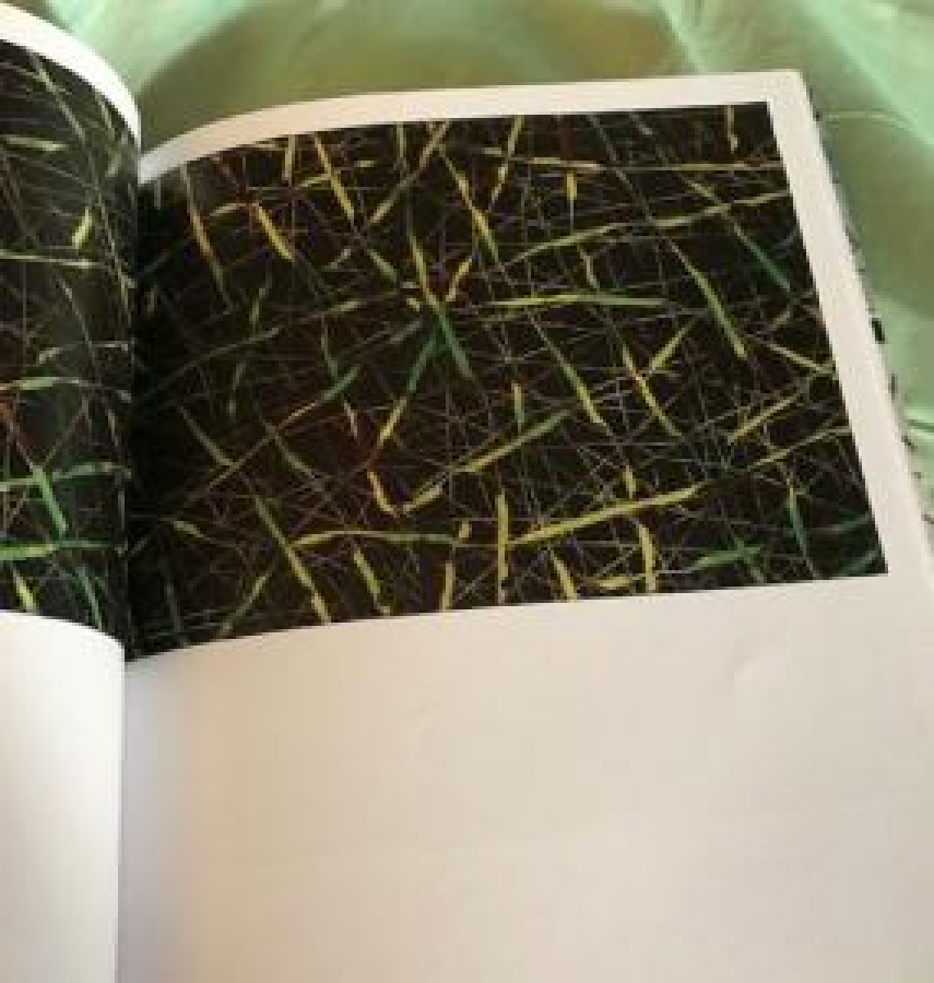 AHMET ORAN KATALOK CİZİMLERİ RESİMLERİ KİTABINDA