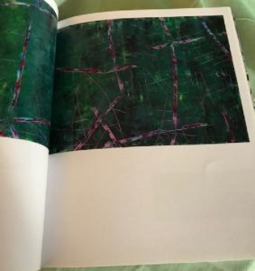 AHMET ORAN KATALOK CİZİMLERİ RESİMLERİ KİTABINDA