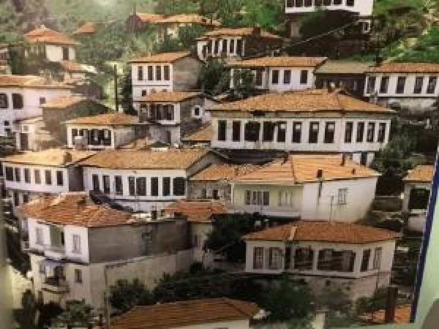 ANADOLU'DA TÜRK SANATI VE MİMARİSİ İLHAN AKŞİT YAYINLARI 